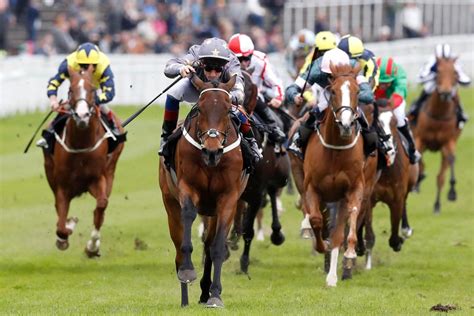 api horse racing|thoroughbred horse racing today.